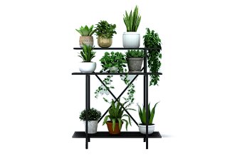 Plant Stand & Hanger