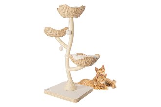Cat Trees
