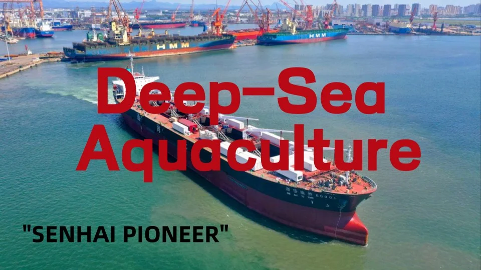 The maiden voyage of the "Senhai Pioneer": Ushering in A New Era of Deep-Sea Aquaculture