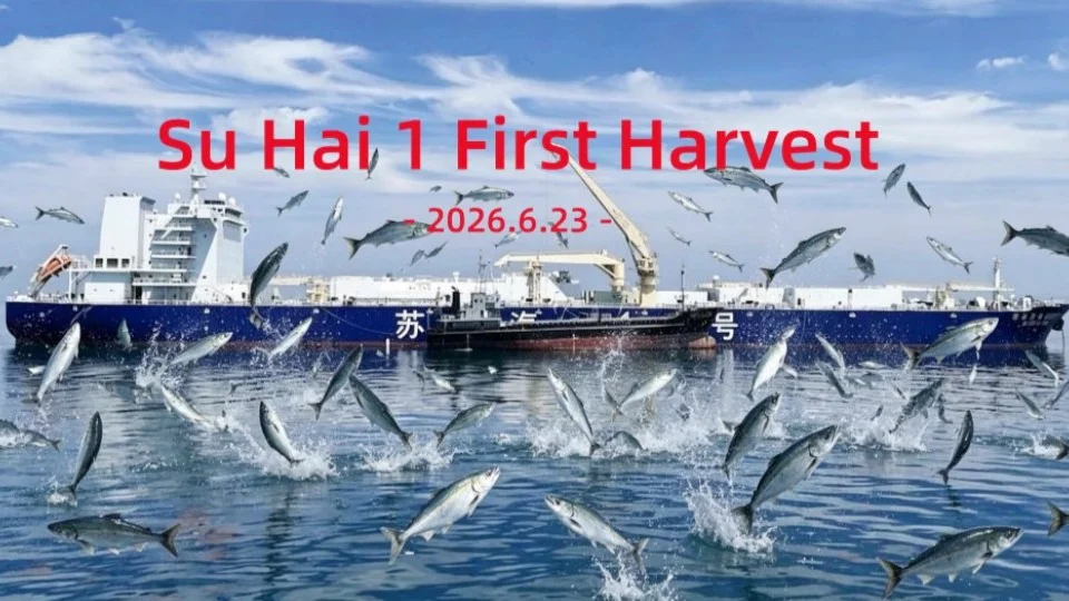  Su Hai 1 First Harvest: World's Largest Aquaculture Vessel Reaches Milestone