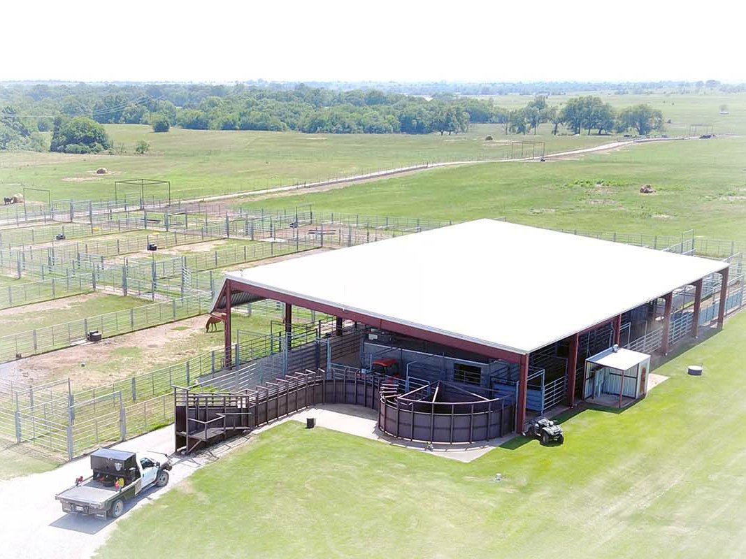 cattle-handling-facilities