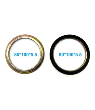 RB oil seal 80x100x5.5