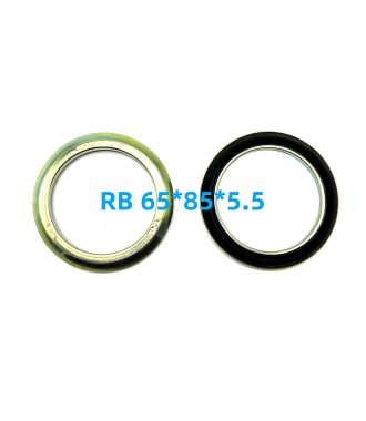 RB oil seal 65X85X5.5