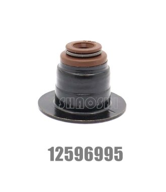 Valve stem seal 12596995