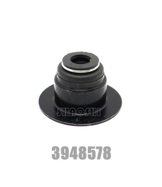 Valve stem seal ISC -3948578
