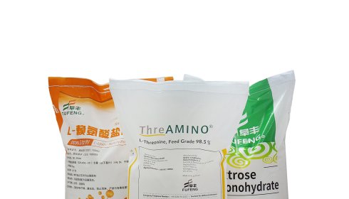 Cómo elegir entre una bolsa tejida de PP y una bolsa tejida de BOPP