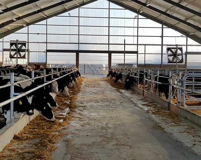 #_0001_牛舍副图4