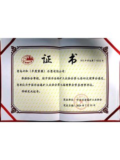 Director Member of CNMIA Graphite Committee