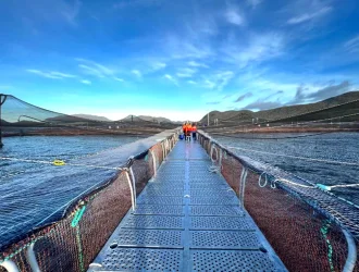 Galvanized Steel Springboard For  Aquaculture-sinostar marine equipment (1)