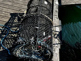 Camarón Cangrejo Jaula Trampa Pescado Langosta Jaula Trampas de Pesca
