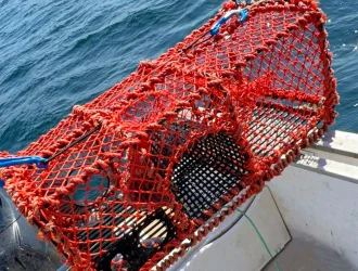 Camarón Cangrejo Jaula Trampa Pescado Langosta Jaula Trampas de Pesca