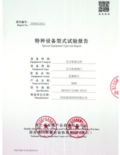 Special Equipment Type-test Report No.TS202312011