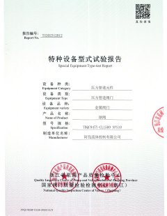 Special Equipment Type-test Report No.TS202312012