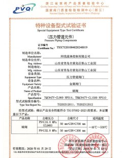 Special Equipment Type Test Certificate