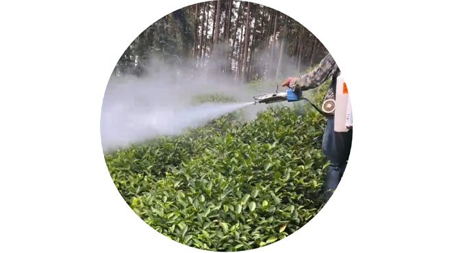 Fogger Usage In Urban Disinfection