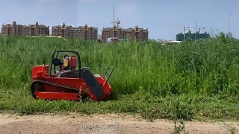 Eco-Friendly And Sustainable