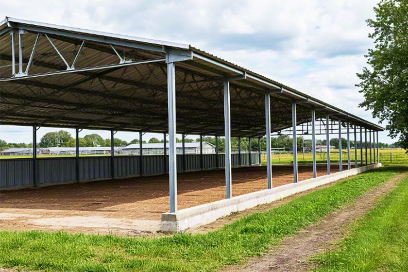 Steel structure chicken coop