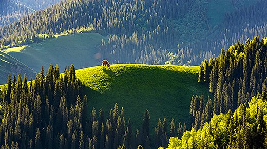 Emphasize the environmental protection and sustainable development of refractory materials production.