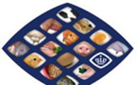 Letter of Invitation - VIV THAI 2017