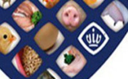 Letter of Invitation - VIV CHINA 2016