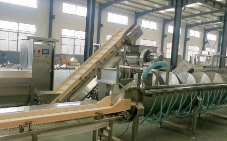 Chicken Feet Processing Line Testing