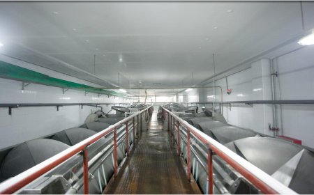  Pre-chilling Processing Section - water chilling & dewatering  