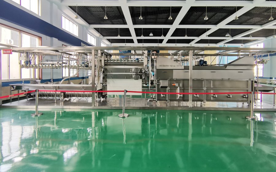 RANICHE Pre-installed ready-to-use processing line Up to 1000 BPH