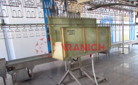 Slaughtering Processing Line Equipment——Stunner