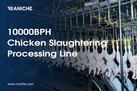 RANICHE 10000BPH Chicken Slaughtering Processing Line