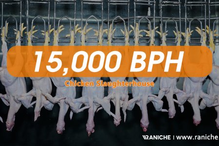 15000 BPH Capacity Chicken Slaughterhouse | Industrial Poultry Processing Plant | RANICHE