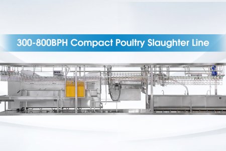 Qingdao Raniche Compact Poultry Slaughter Line