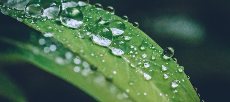 Environmental Responsibility