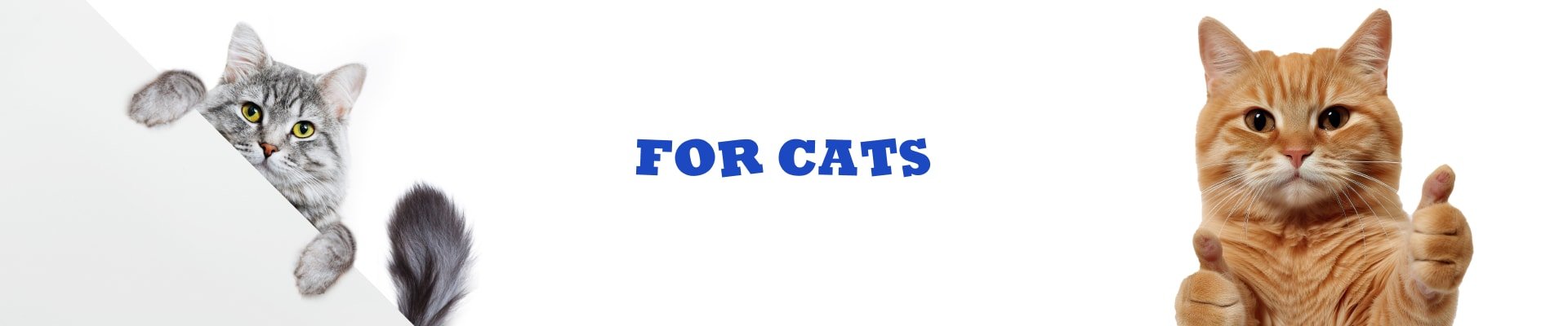 product-cat-banner