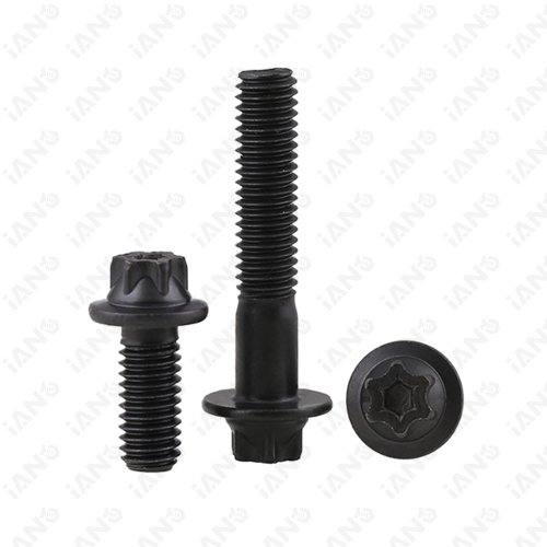 Torx Head Flange Bolts