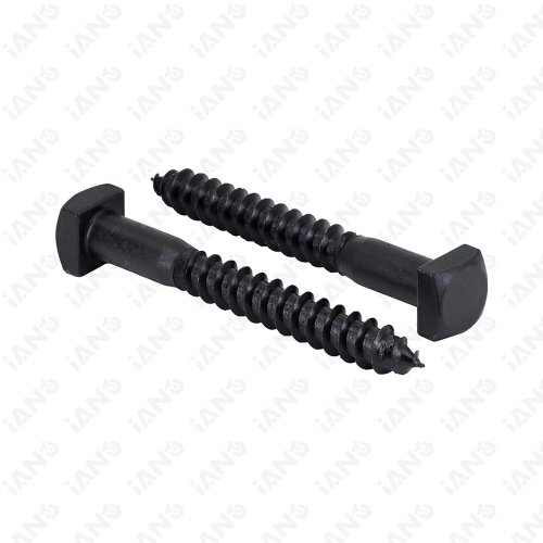 Square Head Lag Sscrews