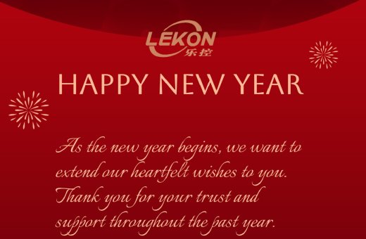 Happy New Year 2025!