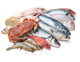 Seafood