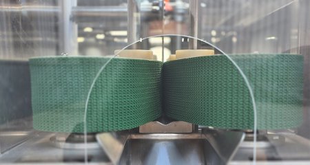 Fish splitting machine1