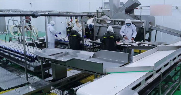 Lekon Fish Gutting Line
