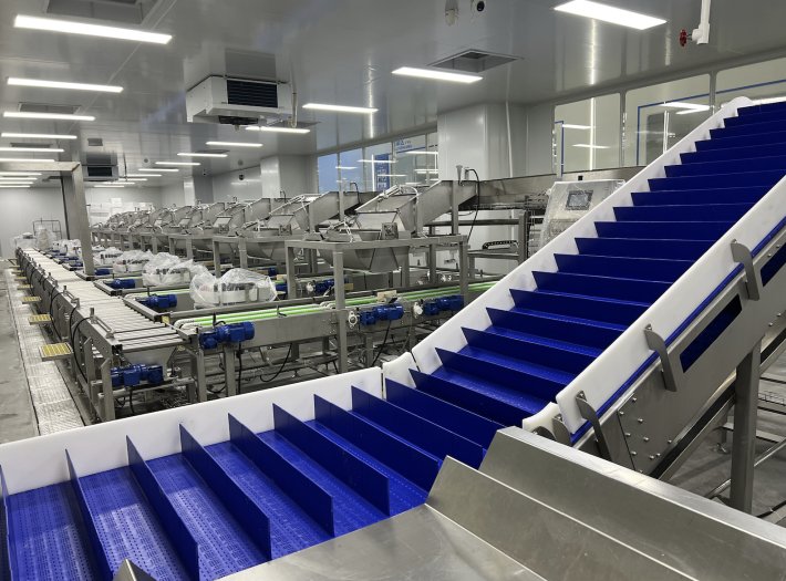 Whole Fish Grading Batching Packing Line