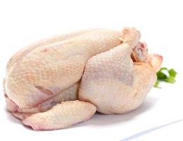 Poultry 