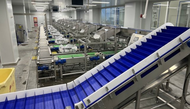 Wet Test and FAT (Factory Acceptance Test)