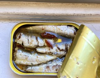 Canned Sardines