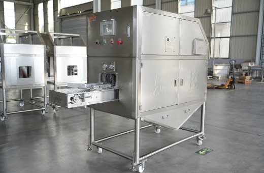 Industrial Fish Descaler Buying Guide: 7 Key Factors to Consider Before You Purchase