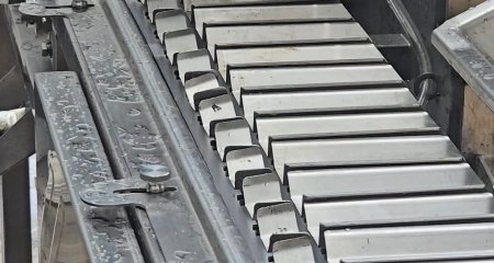 sardine-nobbing-machine