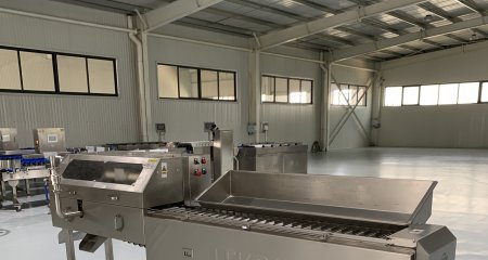 sardine-nobbing-machine