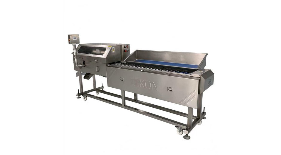 Sardine Nobbing Machine